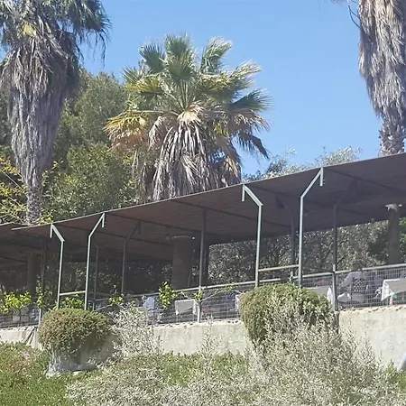 In A Wonderful Area